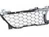 Genuine BMW GRILL, CENTER, FOR ACC, LOWE 51118069888 View 3