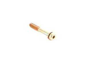 Genuine BMW Fillister Head With Washer - 64116910423