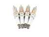 NGK NGK Spark Plugs - Set Of 4 N20 2.0L 121200396642KT View 1