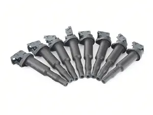 Ignition Coil - Set of 8