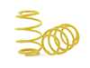 Suspension Techniques ST Suspensions Lowering Spring Set - BMW E39 65420 View 13