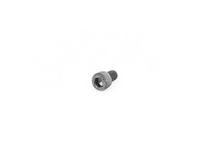 FILLISTER-HEAD SCREW