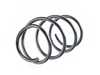 Lesjofors Lesjofors Front Coil Spring - E46 E39 Standard Suspension 4008469 View 2