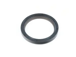 Timing Case Seal