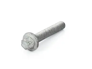 Genuine BMW Torx-Bolt With Washer - 07119908024