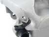 Genuine BMW Genuine BMW Caliper Housing Right - 34116776784 - E70,E71,F15,F16 34116776784 View 3