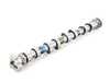 AMC Camshaft - Inlet Side 647107 - Priced Each 11317587756 View 3