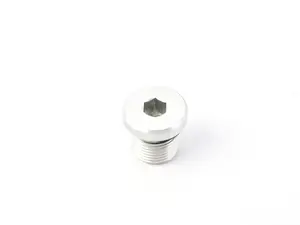 Transmission Plug - Priced Each