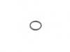 Victor Reinz O-RING C32348 View 1