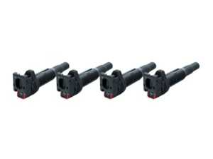 IP High Performance Ignition Coil Set - N20