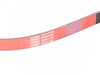 ECS ECS Performance Kevlar Reinforced Accessory Belt - For Turner E9X M3 Pulley Kits 6PK1440 View 2