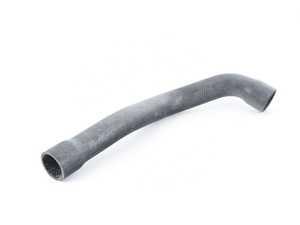 Radiator Hose - Lower