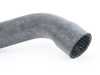 Febi Radiator Hose - Lower 11531740481 View 3