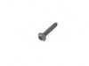 Genuine BMW SCREW 13718677692 View 1