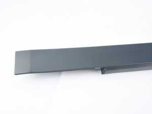 ROCKER PANEL TRIM, P