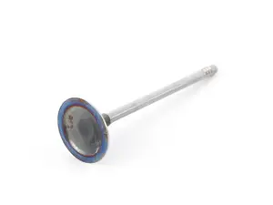 Intake Valve - Priced Each