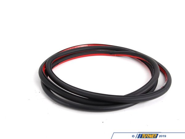Genuine BMW Genuine BMW Rear Outer Door Seal - Right 51348194698