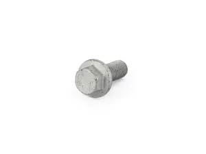 Genuine MINI Hexagon Screw With Flange - 07119906109