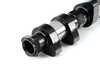 Cat Cams Cat Cams Sport Camshaft set 269/269 10.00mm - E30 318i E36 318i 1301413 View 3