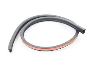 Genuine BMW Gasket, Roof Cut-Out - 54107332706