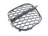 Genuine BMW Genuine BMW Open Grid, Right - 51117222858 51117222858 View 1