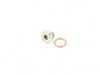 Bremmen Parts  Bremmen Engine Oil Drain Plug - BMW E31 E34 E38 E39 E53 11131742994 View 1