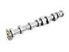 Genuine BMW Genuine BMW Camshaft Exhaust - 11317645955 - i12 i8 11317645955 View 1