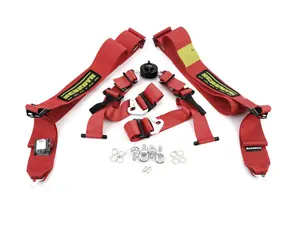 Schroth Profi II ASM Racing Harness - Red - Left Side