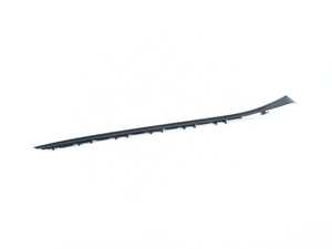 Genuine BMW Drip Moulding, Left - 51317350609