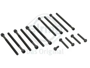 OEM Elring Cylinder Head Bolt Set - N20/26 2.0L