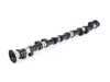 Schrick Schrick Intake Camshaft - E46 M3, MZ3, MZ4 (S54) - 288 Degree, 12.5mm Lift 0415E1880-00 View 2