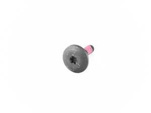 TORX BOLT - (NO LONGER AVAILABLE)