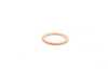 Victor Reinz Victor Reinz Drain Plug Sealing Washer - E31, E38, E39, E53 32411093598 View 2