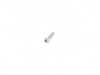 Genuine BMW FILLISTER HEAD SELF-TAPPING 07119906696 View 1