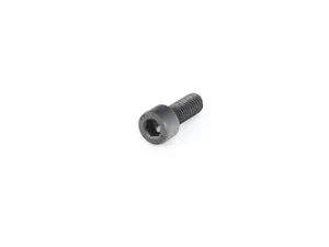 FILLISTER-HEAD SCREW