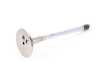 Genuine BMW Genuine BMW Exhaust Valve 36,0/6,94mm - 11341739113 - E38 11341739113 View 1