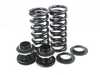BC Racing BC Racing DS Series Coilover Suspension Kit - BMW E90/92 M3 (W/ EDC) I-13-DS View 23
