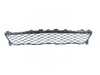 Genuine BMW GRILL, CENTER LOWER 51118069887 View 1