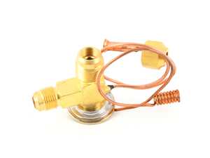 Expansion Valve