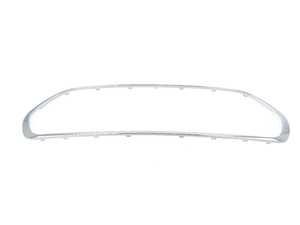 Genuine MINI Frame For Grill - 51137351369