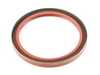Mahle Crankshaft Seal - Rear Main Seal  11111492244 View 2
