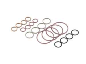 BMW E39 M5 S62 ECS VANOS Seal Kit