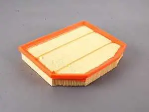 Genuine BMW Air Filter - E83 X3 Z4 3.0i 3.0Si N52 3.0L
