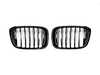 Turner Motorsport Black Front Grilles - G01/G02 X3/X4 g01blackoutgrlKT View 2
