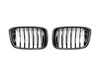 AUTOTECKNIC Autotecknic Replacement Carbon Fiber Front Grilles - G01 X3/G02 X4 ATK-BM-0256-CF View 1