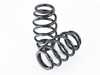 BC Racing DS Series Coilover Suspension Kit H-02-DS View 2