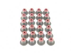 BMW Valve stem set