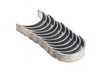 ACL BMW S54 3.2L High Performance Rod Bearing Set - Standard - Extra Oil  6B1569HX View 2
