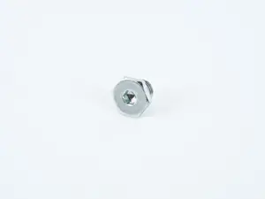 Oil Drain Plug