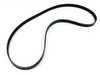 Continental Continental Accessory Belt - E53, E60, E63, E64, E65, E66 11287539831